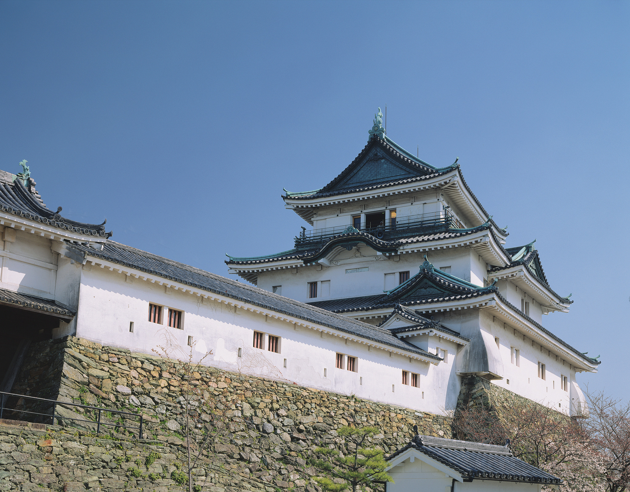 Enen 必吃推薦 和歌山縣和歌山市enen Trip Com