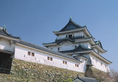 Burg Wakayama