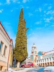 Sighnaghi old city