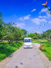 Chao Mountain Scenic Area