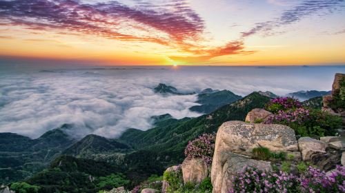 Mount Tai Scenic Area