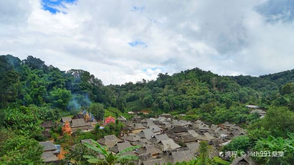 景迈山茶林文化景区