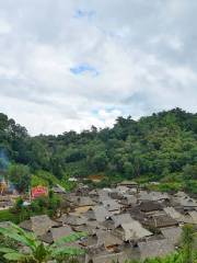 景迈山茶林文化景区