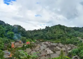 景迈山茶林文化景区