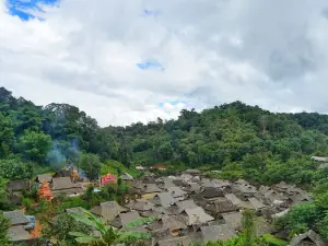 景迈山茶林文化景区