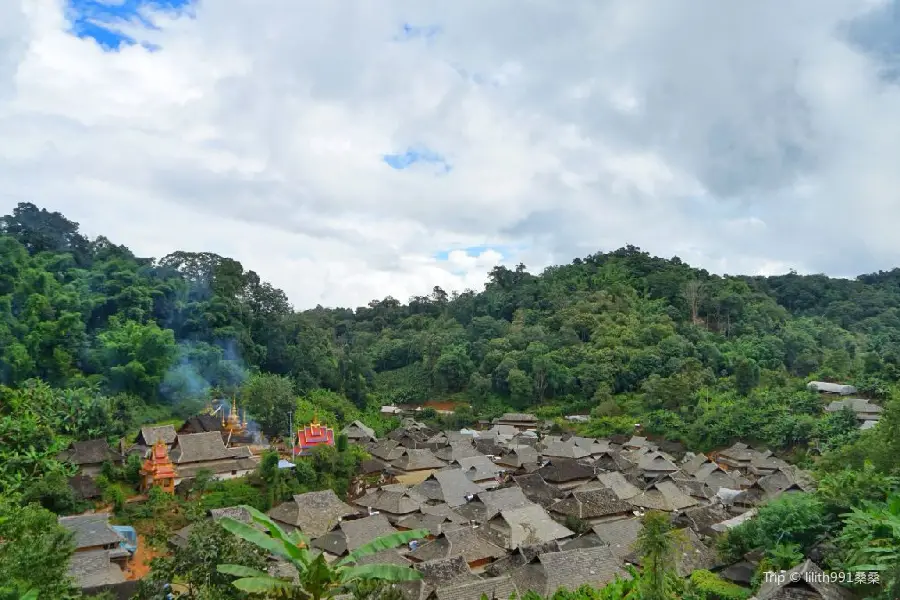 景迈山茶林文化景区