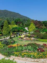 晨靜園藝樹木園