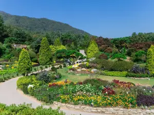 アチムゴヨ樹木園