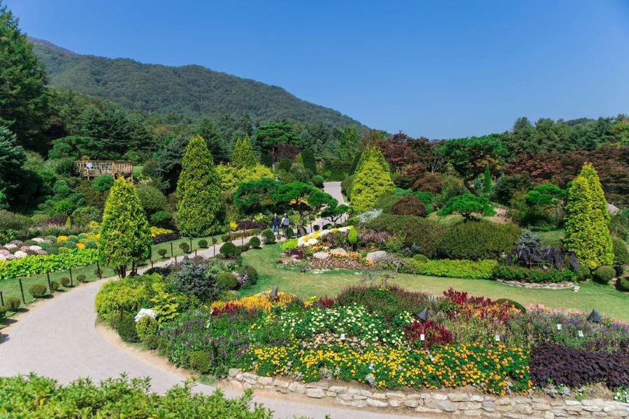晨靜樹木花園