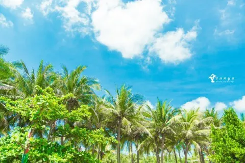 Holiday Beach Side Resort