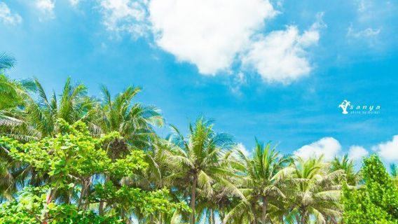 Hải Khẩu