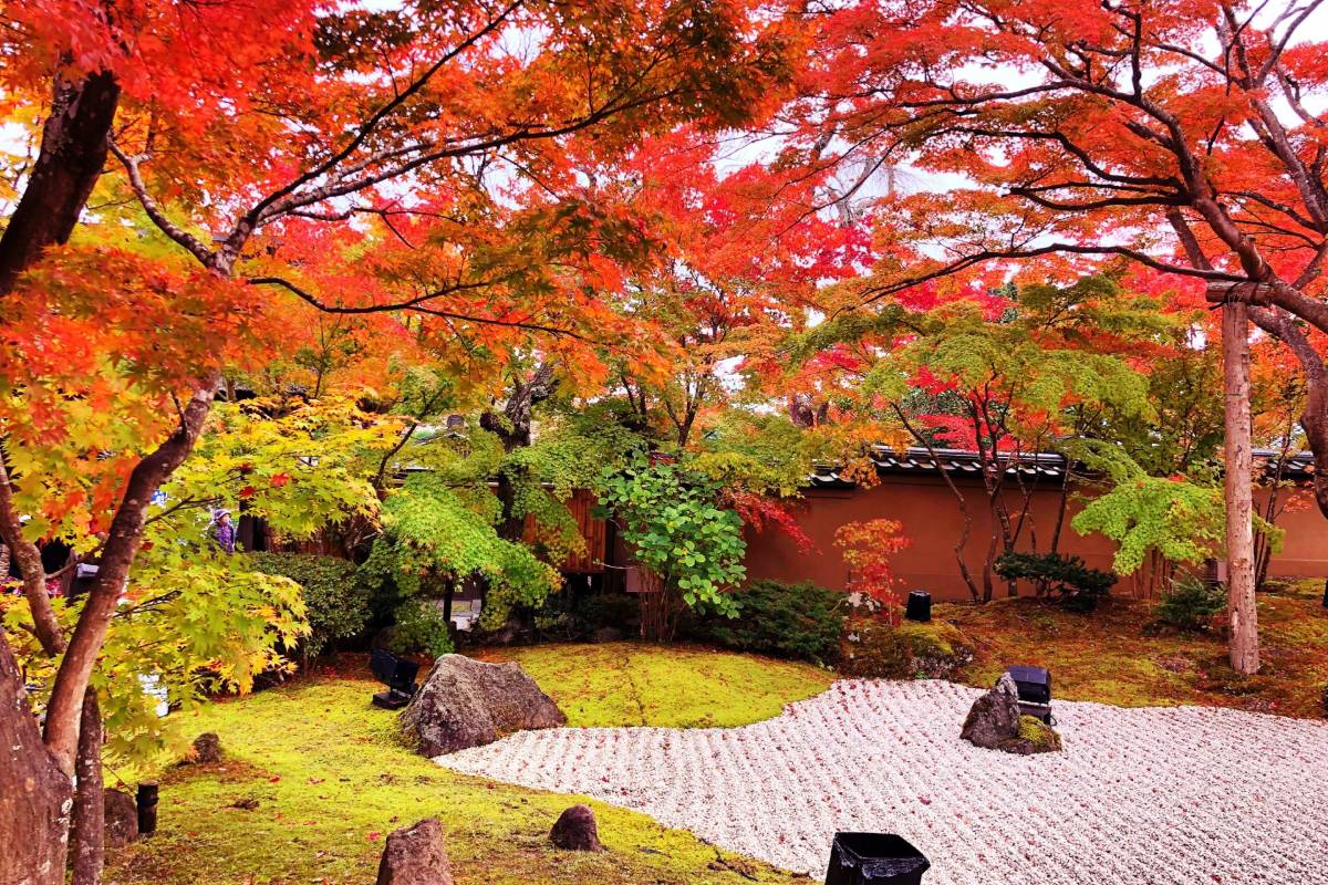 仙台紅葉 | 円通院 (Entsu-in Temple)