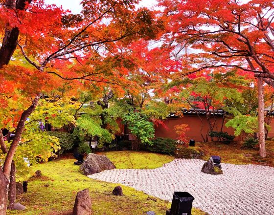 鬆島町 自由行套票