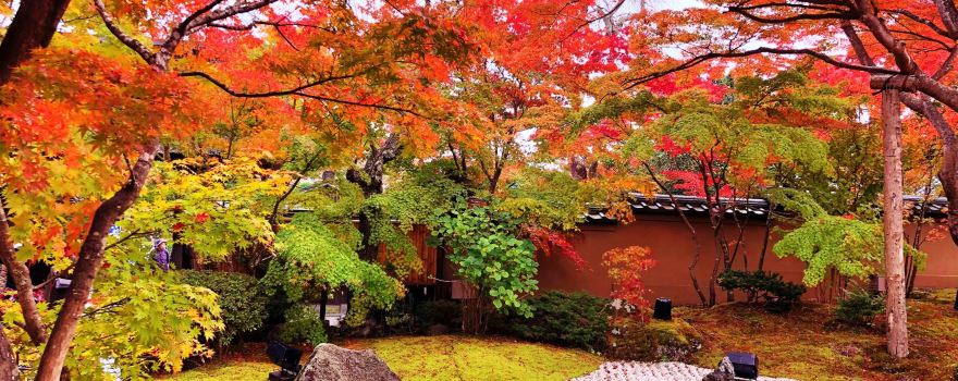 圓通院