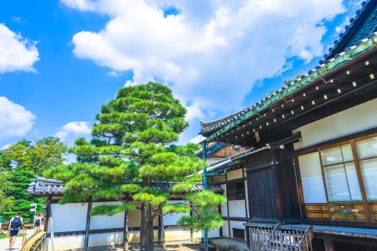Kyoto gosyo/ Karasuma
