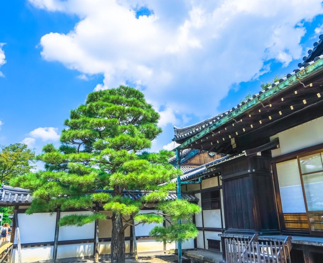 Kyoto gosho/Karasuma
