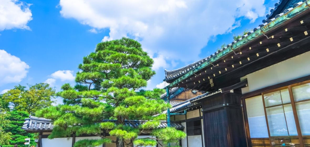 中京区観光ガイド2026年:人気スポット、グルメ、ホテル、天気など、旅行情報が満載 | Trip.com | 2026年7月