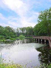 Lishuijiulong Wetland