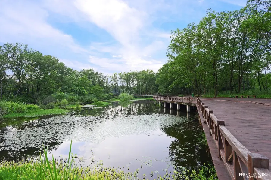 Lishuijiulong Wetland