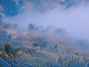 Sea of Clouds in Yuanyang