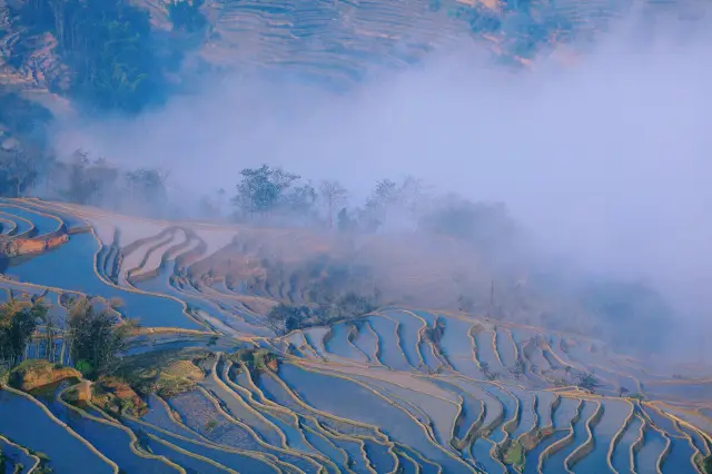 Sea of Clouds Sightseeing in Yuanyang