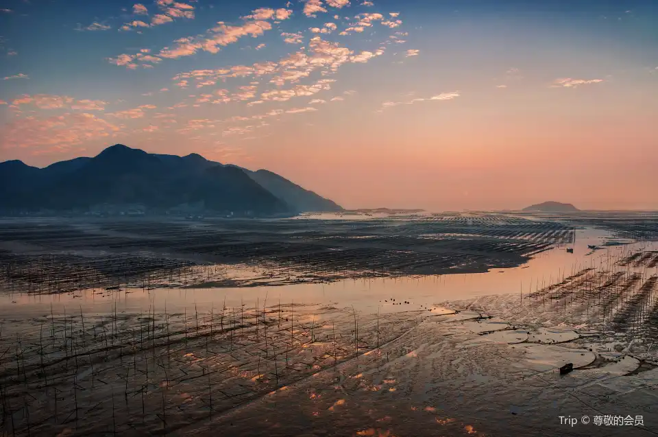5_Beiqi Mudflat