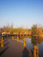 Парк водно-болотных угодий на острове Тунг-П
