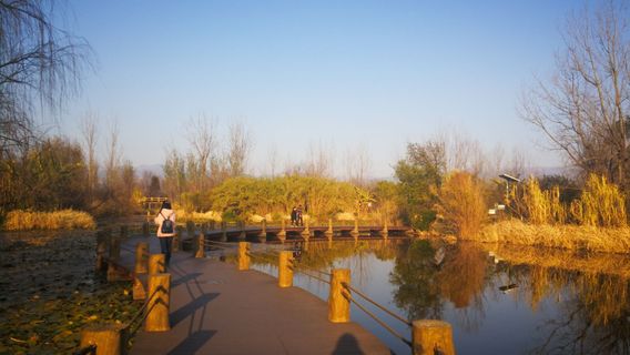 Guanniaodao Wetland Park
