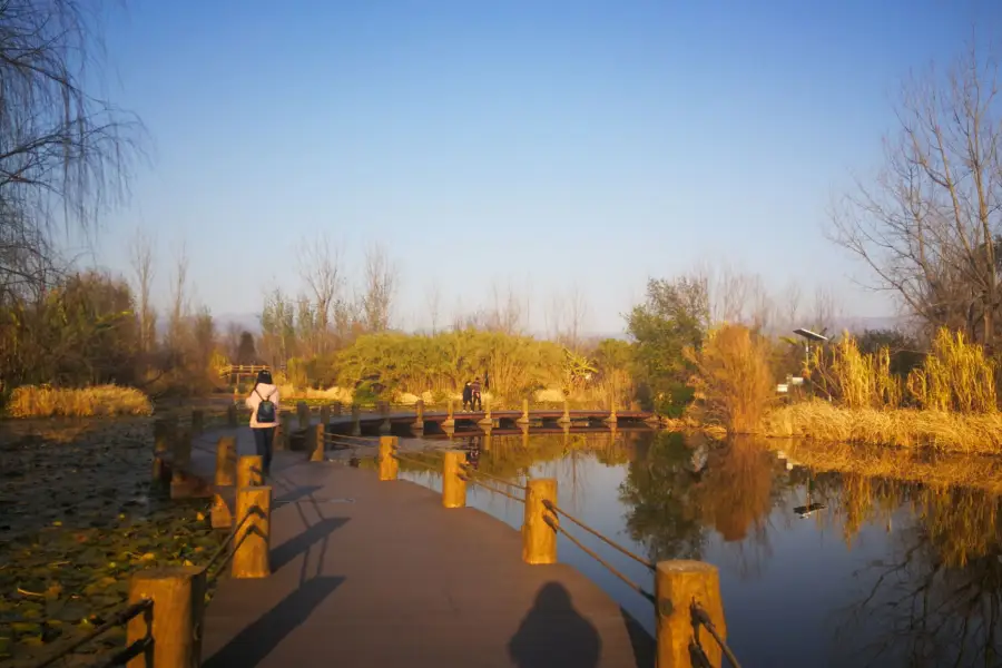 Guanniaodao Wetland Park