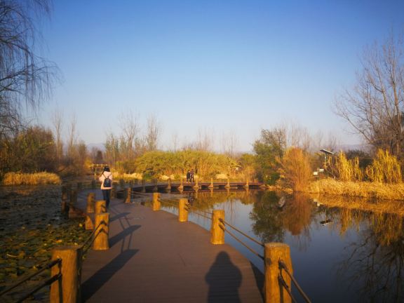 觀鳥島濕地公園