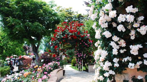 Kawaguchiko Music Forest Museum