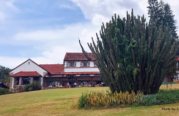 The Outspan Restaurant