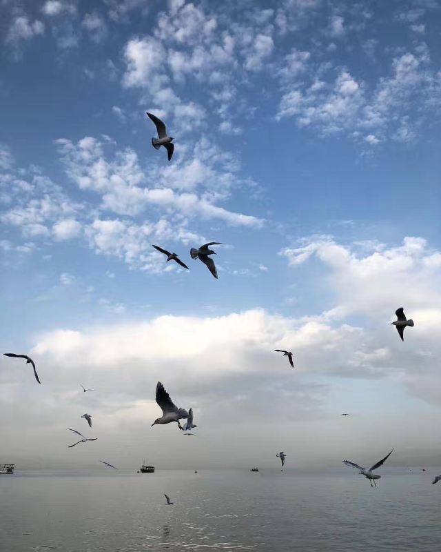 Sea of Galilee