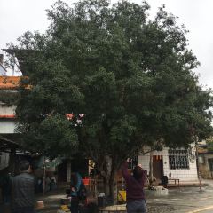 南华寺素食馆(南华禅寺店) User Photo