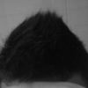 user-icon