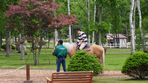 Northern Horse Park