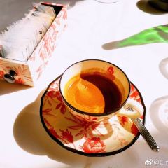 Gucci Osteria da Massimo Bottura User Photo