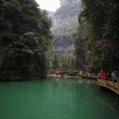 彭记家常菜肥肠鱼 User Photo