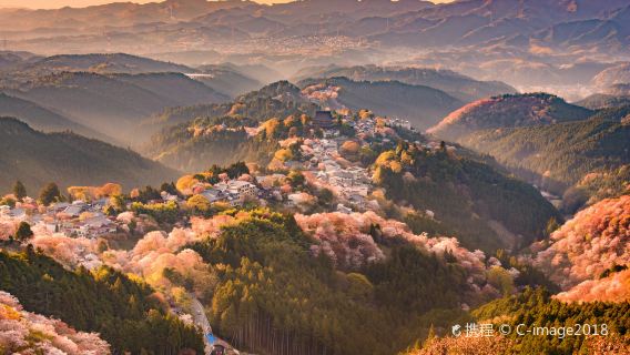 Mount Yoshino