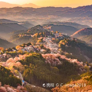 吉野山
