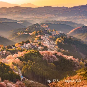 吉野山