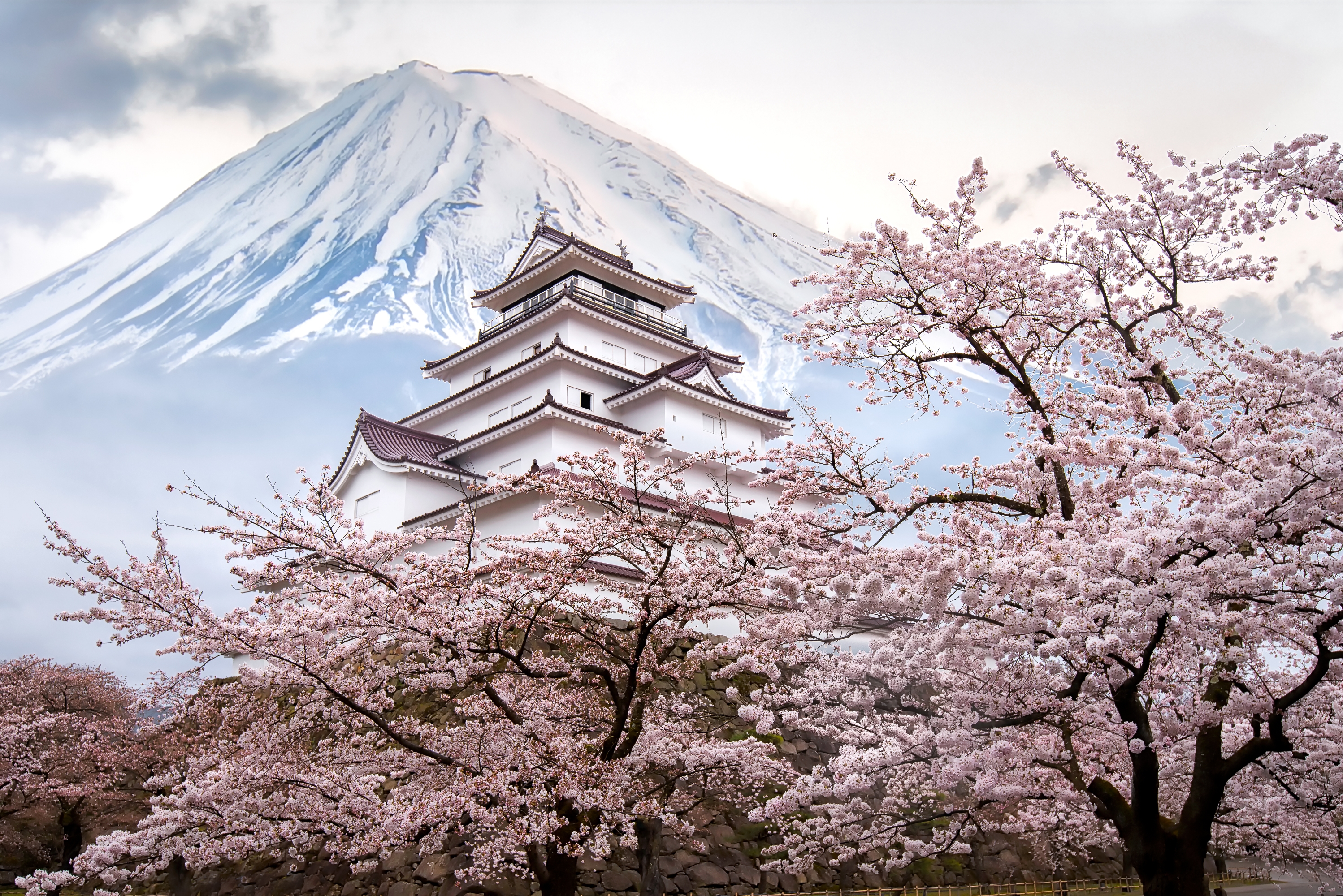 福島 鶴ヶ城 入場Eチケット 予約