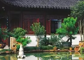 Чжаншань Ян-Кунь