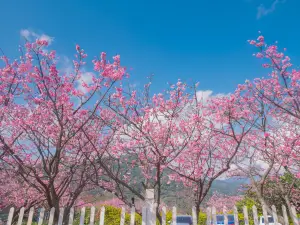 Yangmingshan National Park