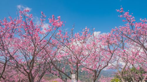 陽明山国家公園