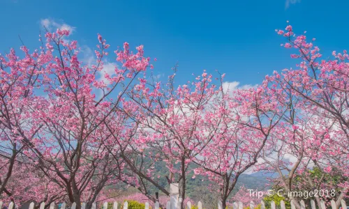 Yangmingshan National Park