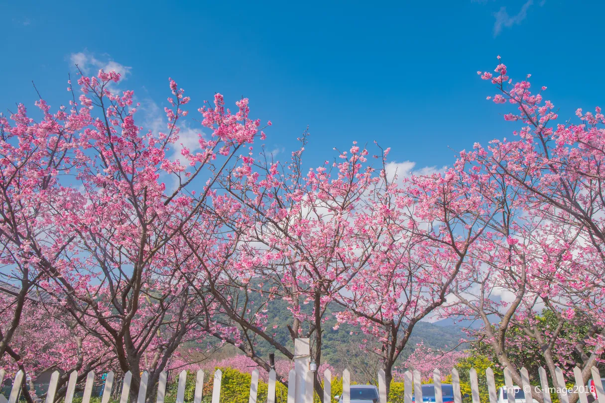 2_陽明山國家公園