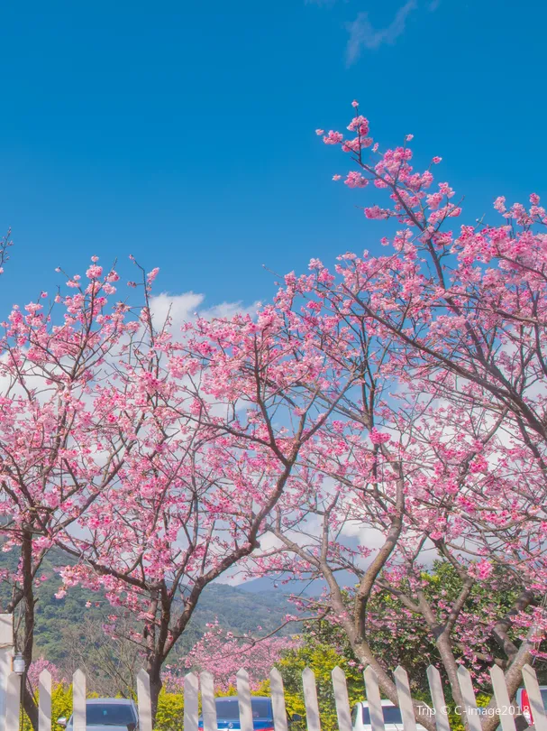 5_陽明山國家公園
