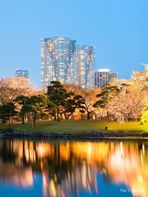 銀座/築地
