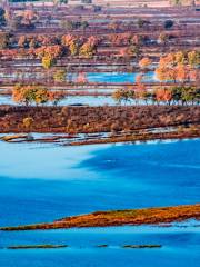 Ussuri River National Forest Park